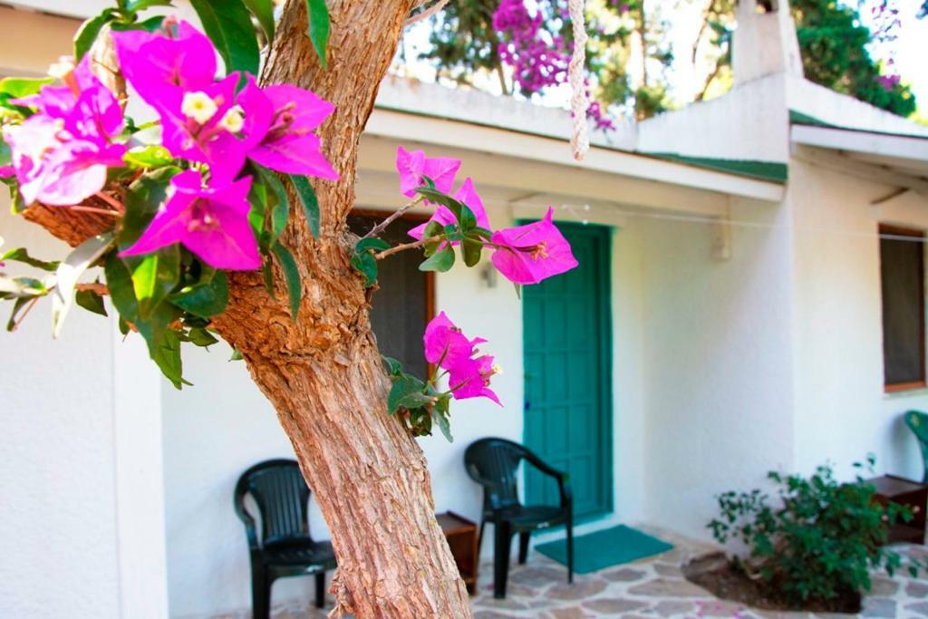 Myndos Bed & Breakfast Bodrum Екстериор снимка